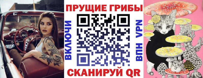 Псилоцибиновые грибы Psilocybine cubensis  Вичуга 
